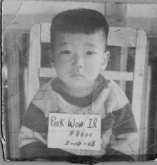 'I don’t blame my birth parents': Korean American adoptee looks for biological parents