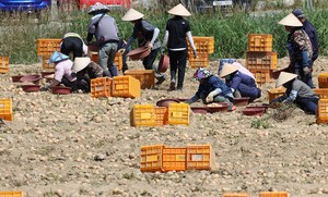 Campaign to call migrant workers by name spreads in southwest